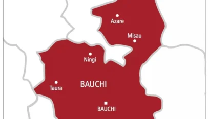 Woman dies after setting herself ablaze in Bauchi 3 map of bauchi state 1024x971 1